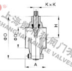 D81X衛(wèi)生級(jí)快裝蝶閥外形結(jié)構(gòu)圖